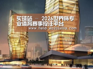 案例展示三