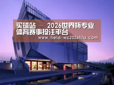 案例展示六