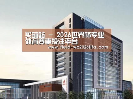案例展示七