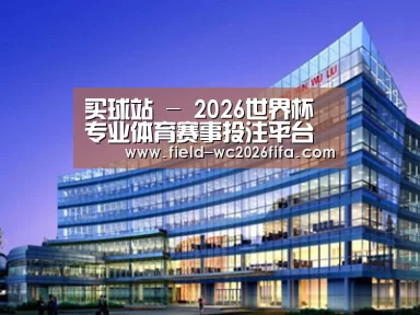 案例展示五